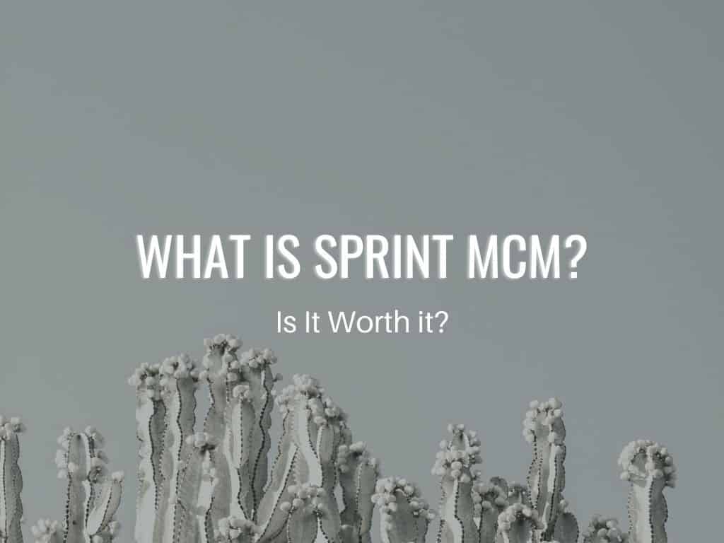 should you use Sprint MCM
