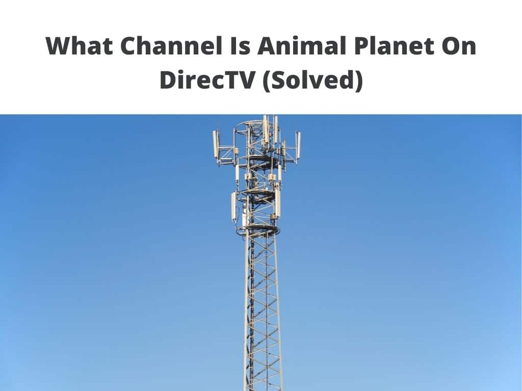 What Channel Is Animal Planet On DirecTV (Solved)