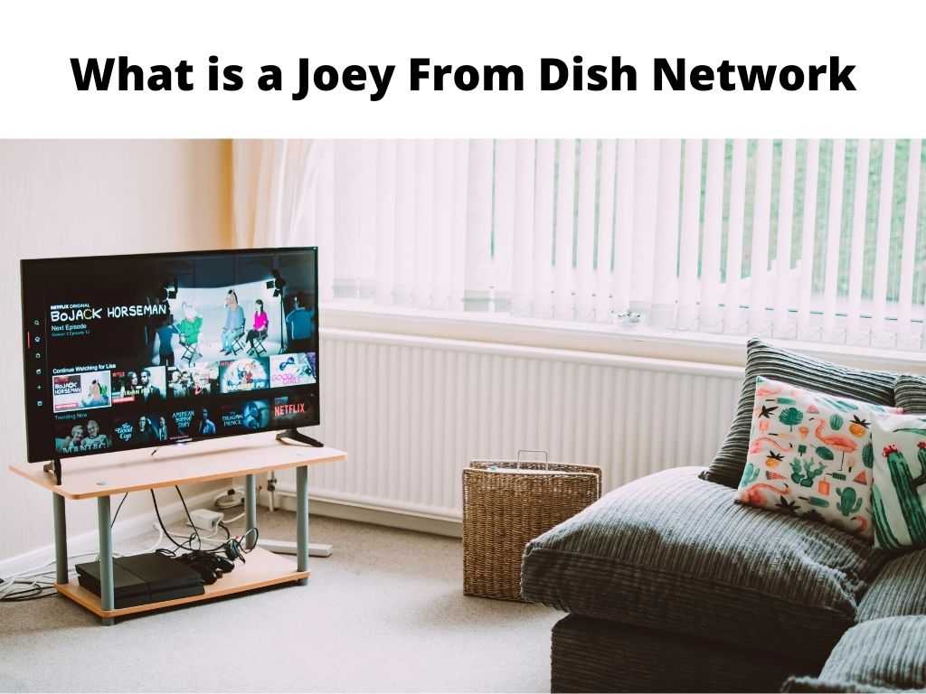 What is a Joey From Dish Network