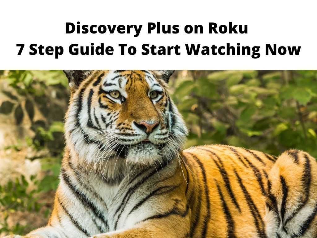 Discovery Plus on Roku - 7 step guide to start watching now
