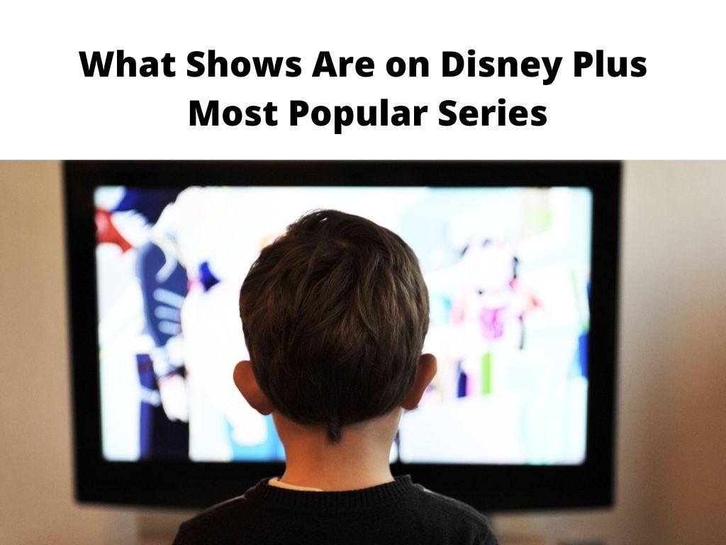 What Shows Are on Disney Plus - most popular series