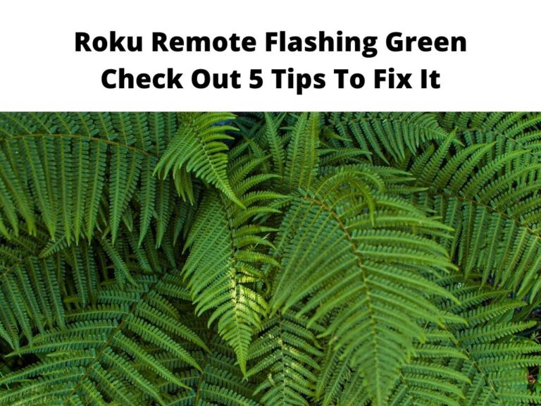 Roku Remote Flashing Green Check Out 5 Tips To Fix It