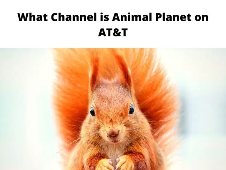 What Channel is Animal Planet on AT&T