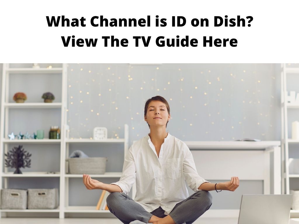 What Channel is ID on Dish