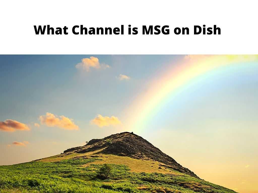 What Channel is MSG on Dish