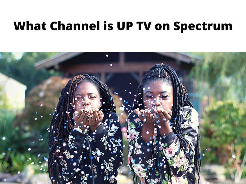 What Channel is UP TV on Spectrum