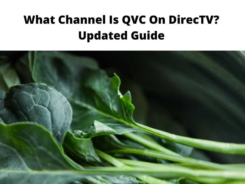 What Channel Is QVC On DirecTV Updated Guide