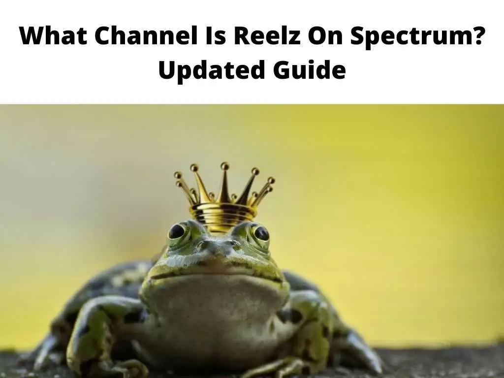 What Channel Is Reelz On Spectrum Updated Guide