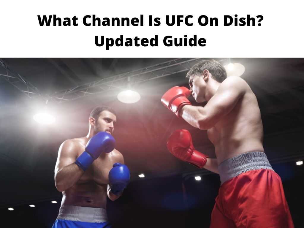 What Channel Is UFC On Dish