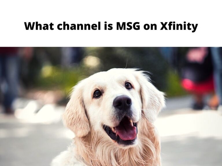 What Channel is MSG on Xfinity