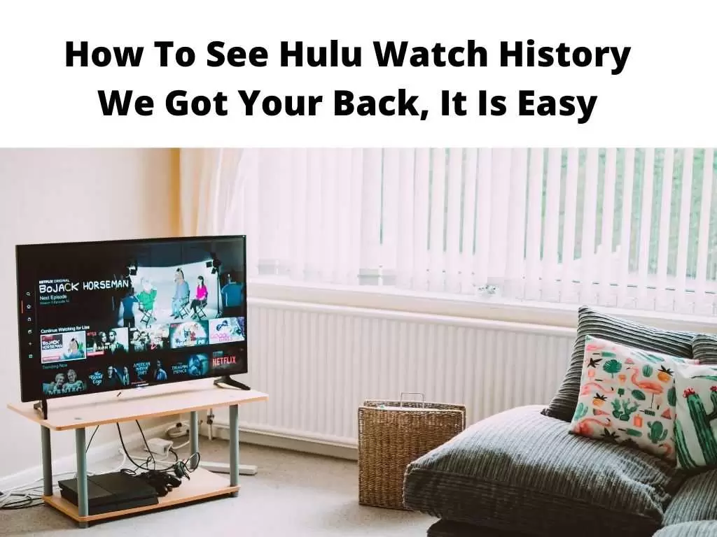 How To See Hulu Watch History - We Got Your Back, it is easy
