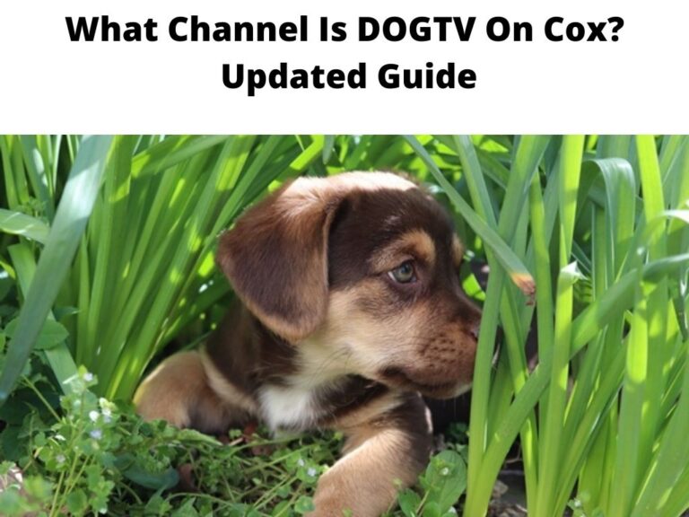 What Channel Is DOGTV On Cox Updated Guide