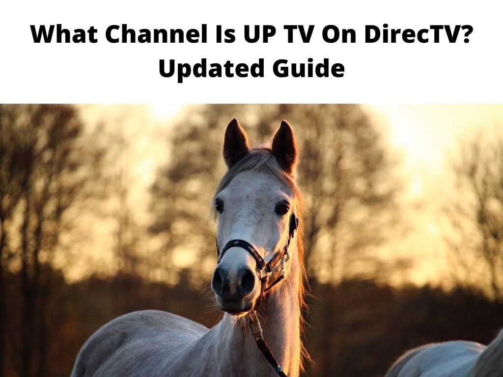 What Channel Is UP TV On DirecTV Updated Guide