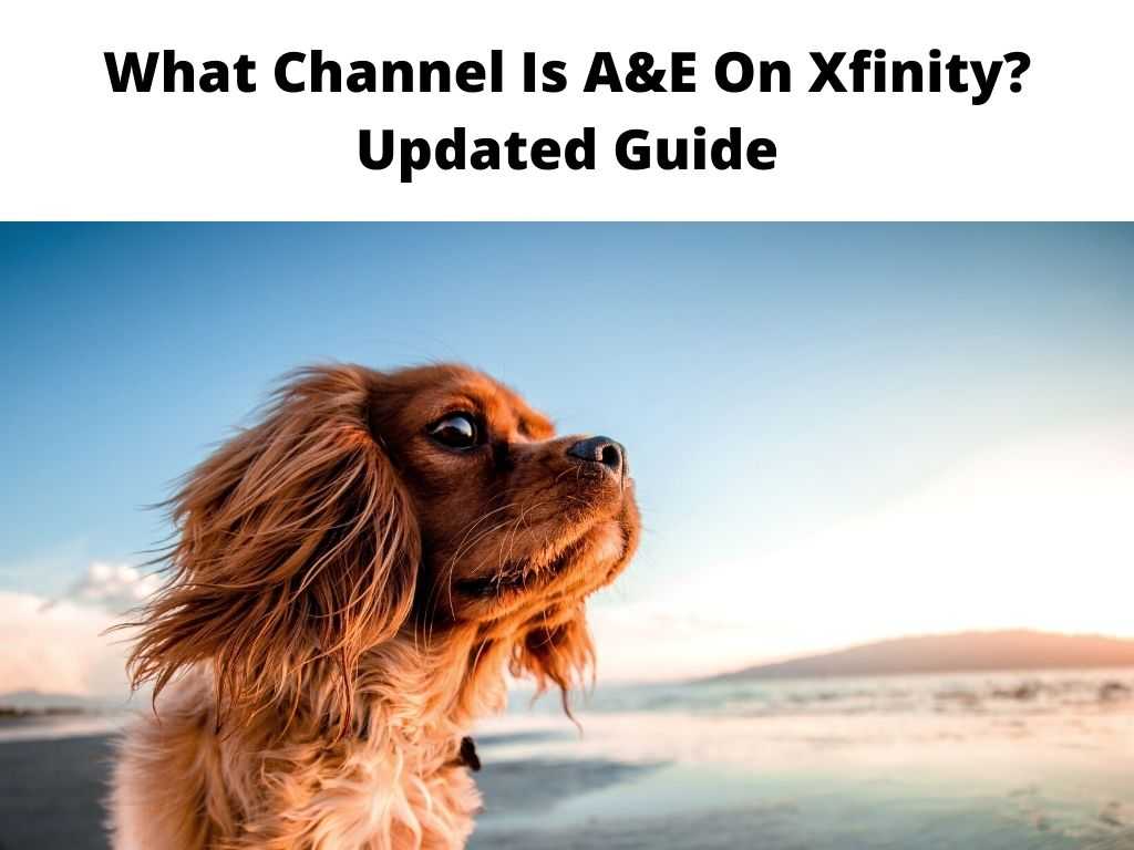 What Channel Is A&E On Xfinity Updated Guide