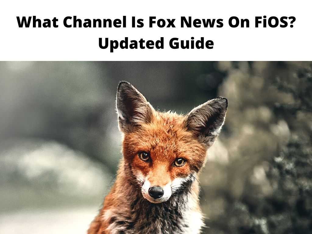 What Channel Is Fox News On FiOS Updated Guide