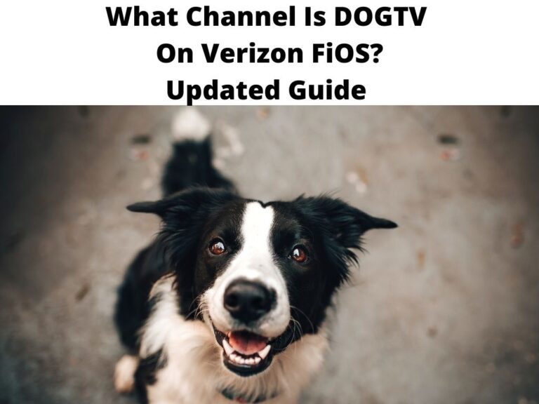 What Channel Is DOGTV On Verizon FiOS? Updated Guide