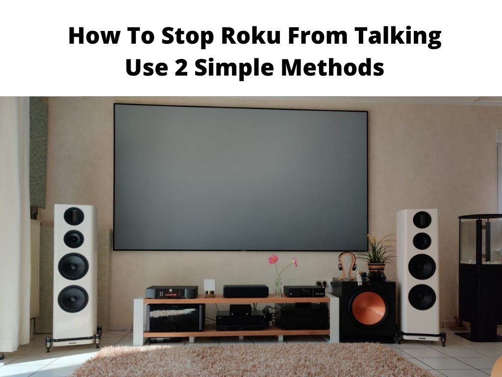 How To Stop Roku From Talking