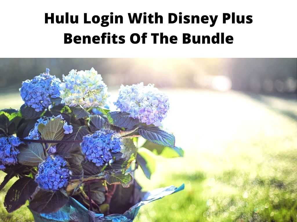 Hulu Login With Disney Plus