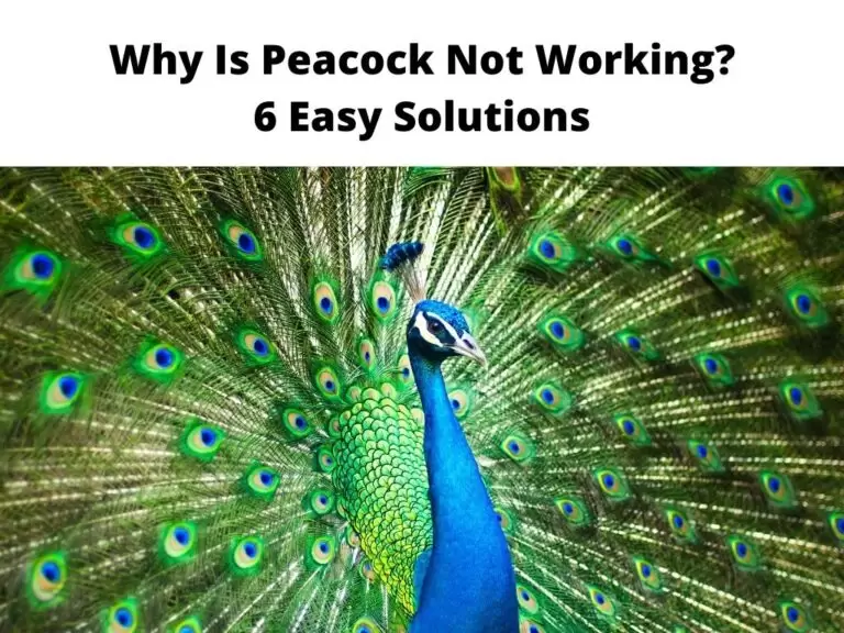 Why Is Peacock Not Working