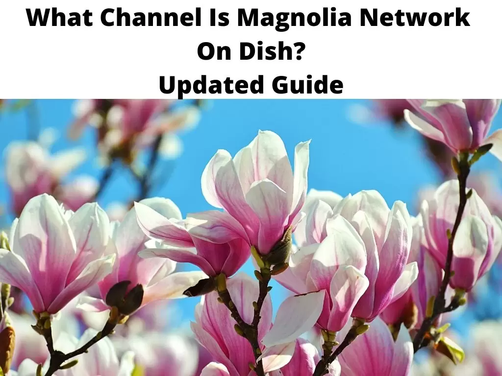 What Channel Is Magnolia Network On Dish