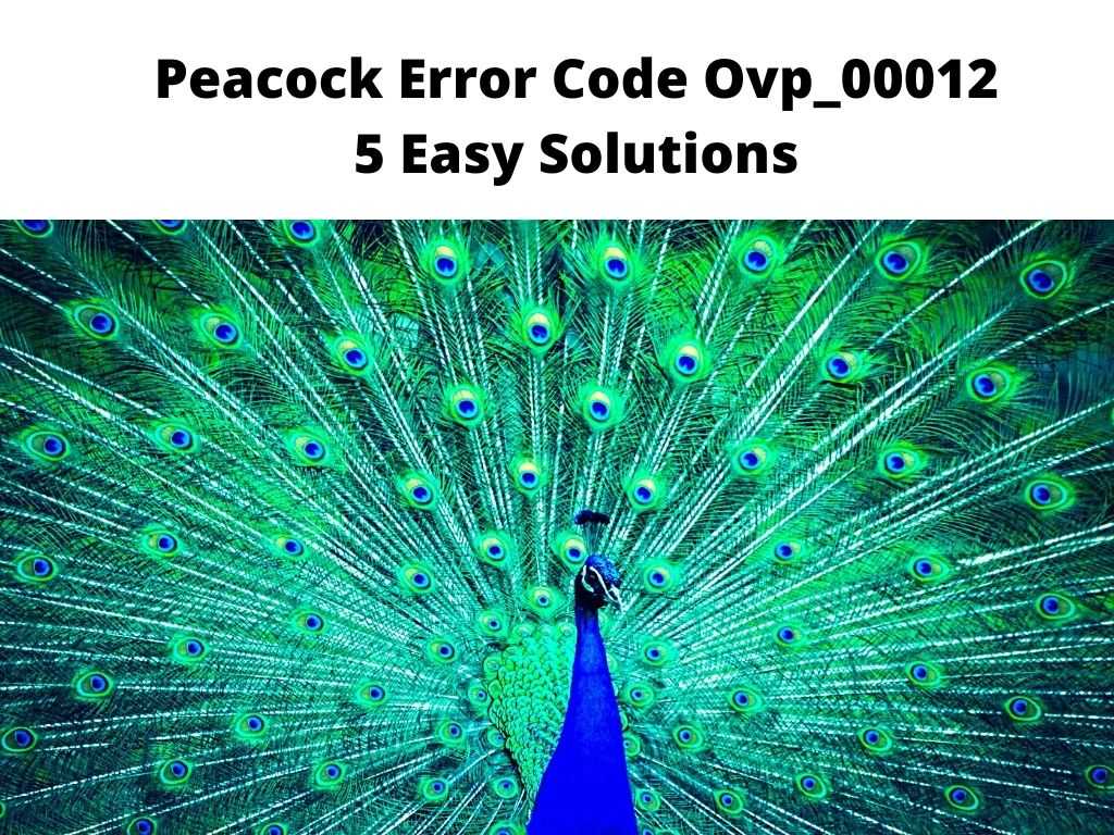 Peacock Error Code Ovp_00012