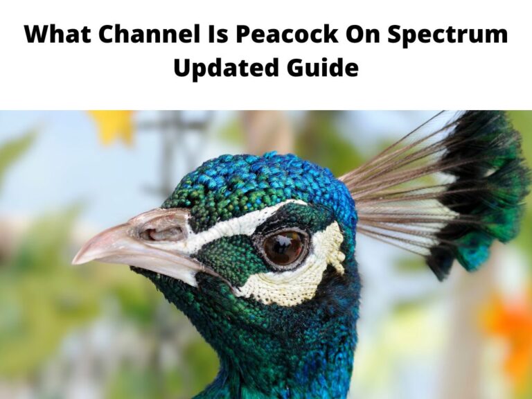 What Channel Is Peacock On Spectrum - Updated Guide 2023