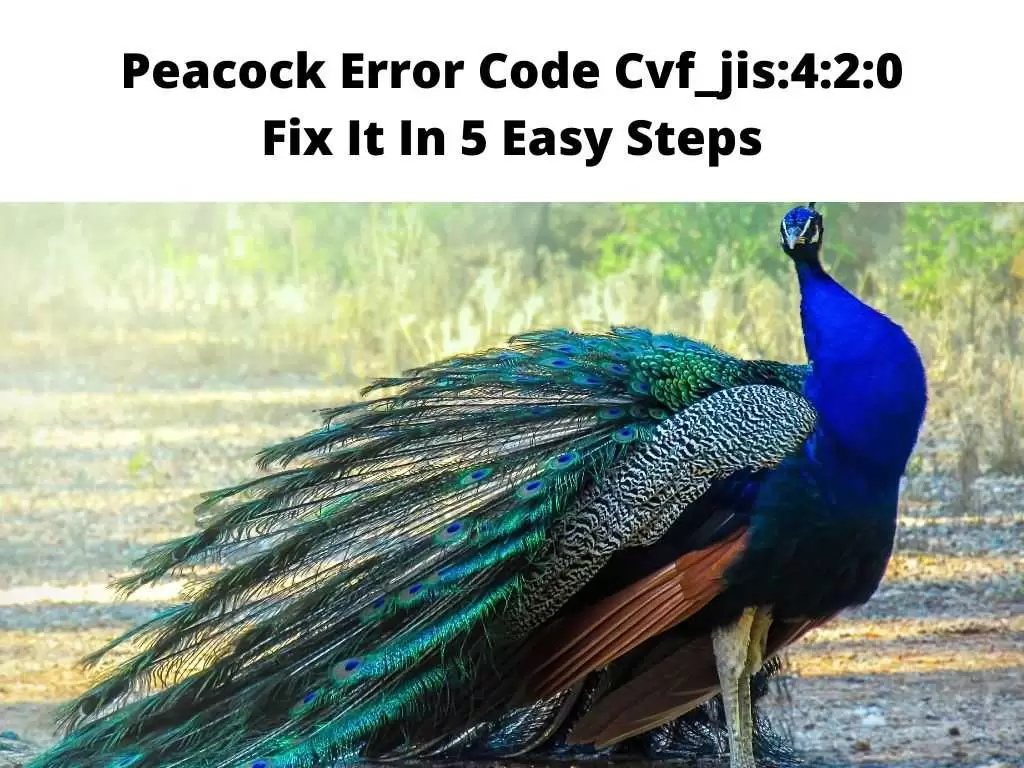 Peacock Error Code Cvf_jis420