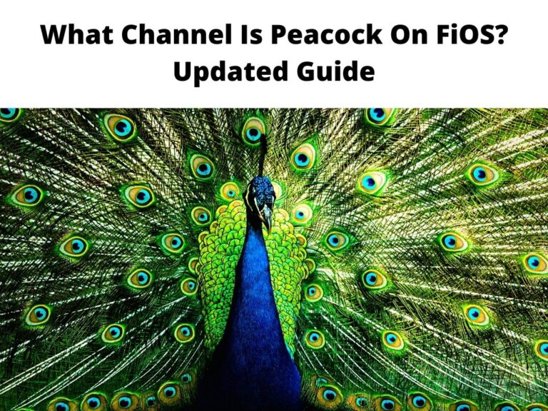 What Channel Is Peacock On FiOS? - Updated Guide 2023