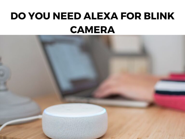 Do You Need Alexa For Blink Camera