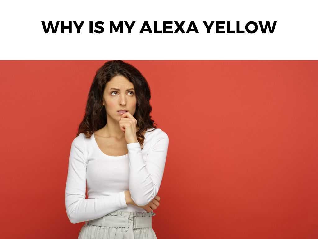 Why Is My Alexa Yellow
