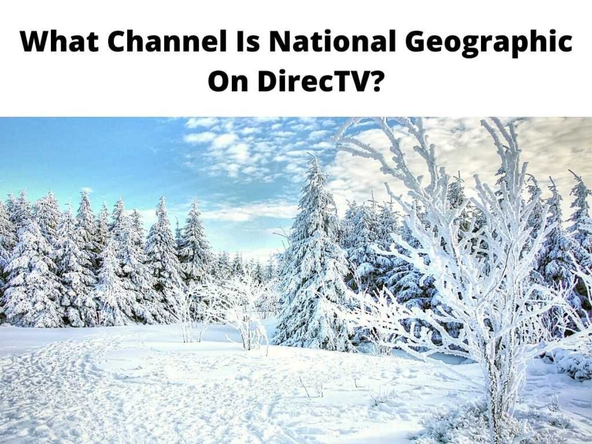 What Channel Is National Geographic On DirecTV? - Updated Guide 2023